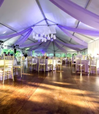 Organza Fabric