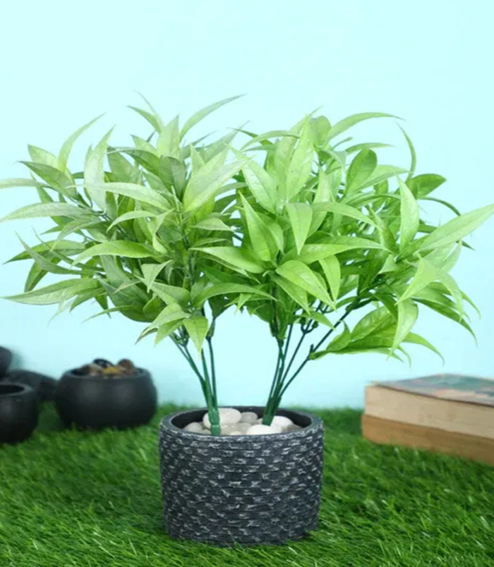 Plants – Artificial Flower41