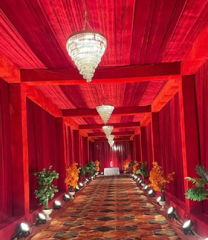 Velvet Fabric1